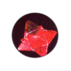 Album Thumb