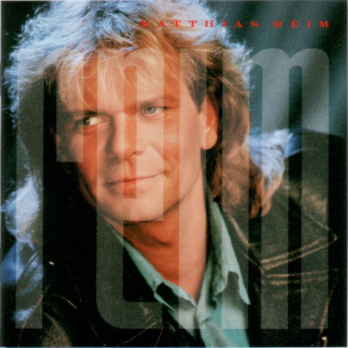 Matthias Reim cover