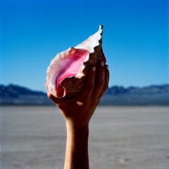 Album Thumb