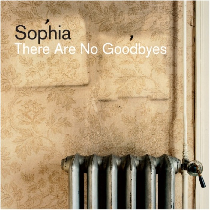 There Are No Goodbyes cover