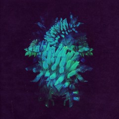 Album Thumb