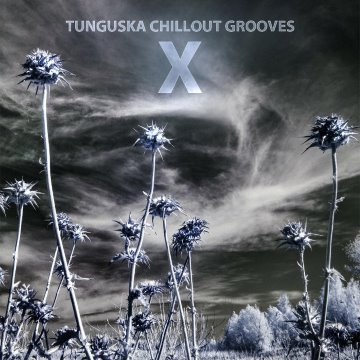 Tunguska Chillout Grooves X album thumb