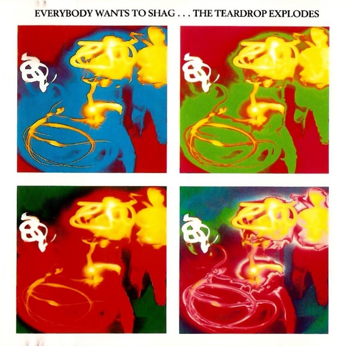 Everybody Wants to Shag... cover