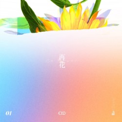 Album Thumb