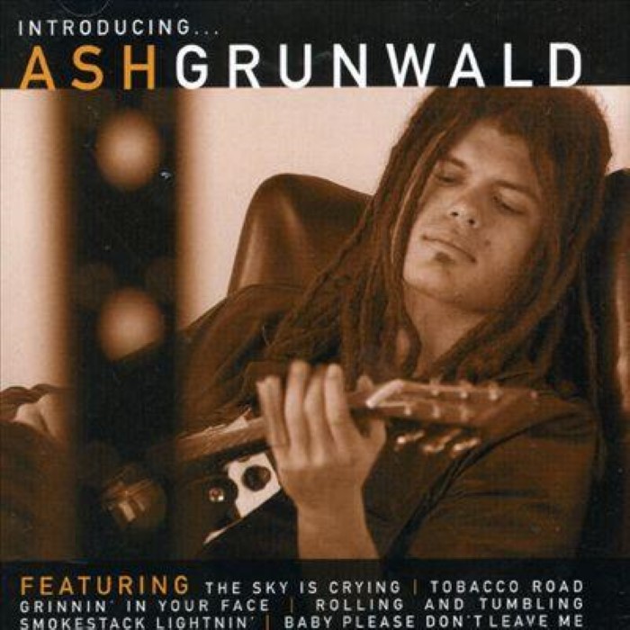 Introducing Ash Grunwald cover
