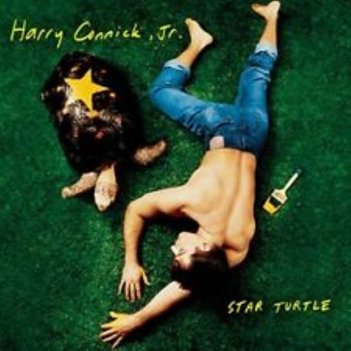 Star Turtle cover
