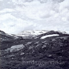 Album Thumb