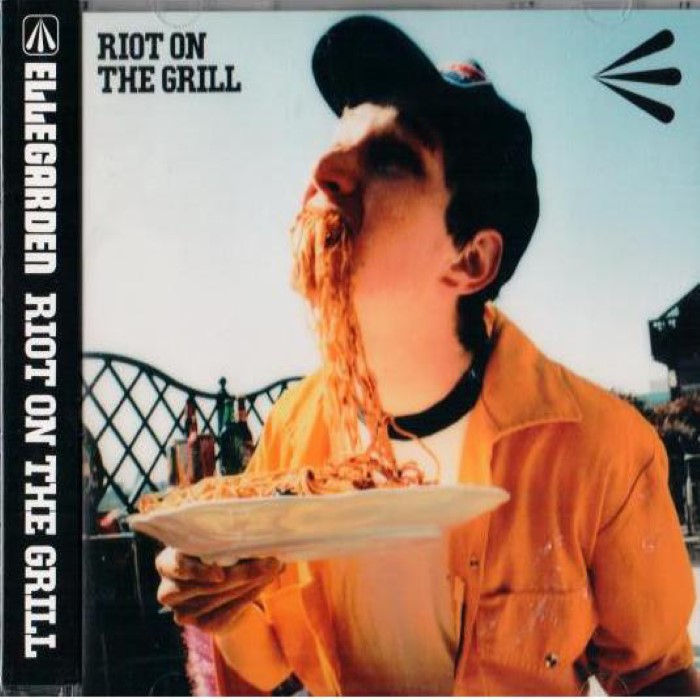 RIOT ON THE GRILL cover