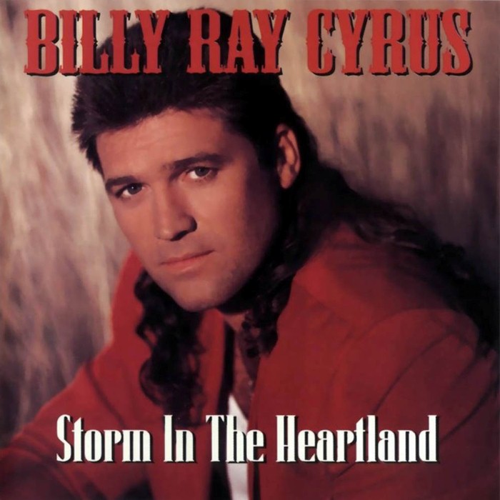Storm in the Heartland cover
