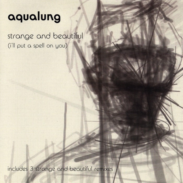 Strange and Beautiful (I'll Put a Spell on You) cover