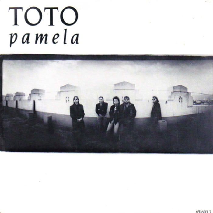 Pamela / You Got Me cover