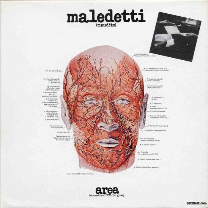 Maledetti (maudits) cover