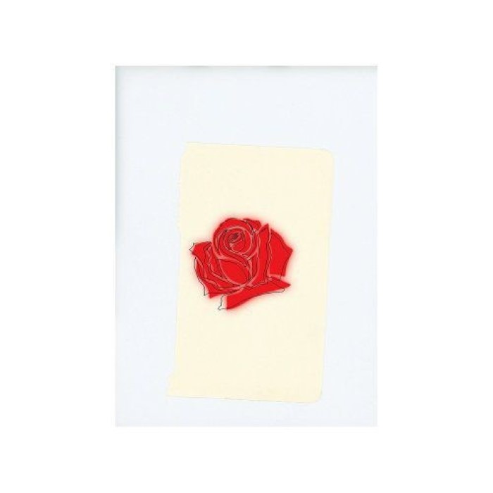 LANY cover