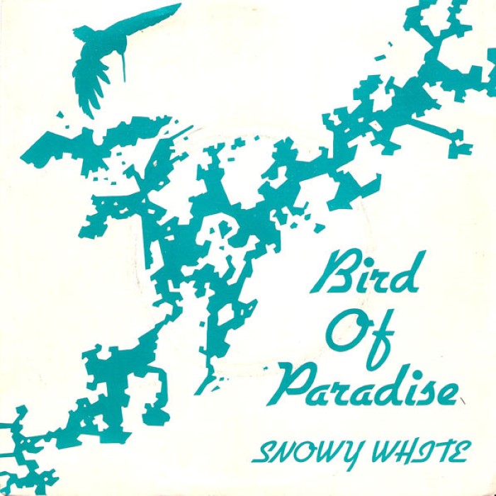 Bird of Paradise cover