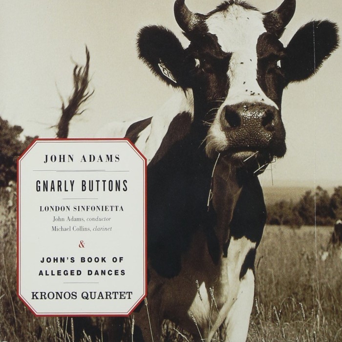 Gnarly Buttons / John's Book of Alleged Dances cover
