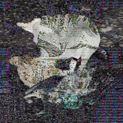Album Thumb