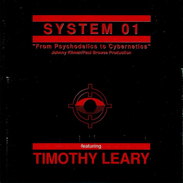 From Psychodelics to Cybernetics