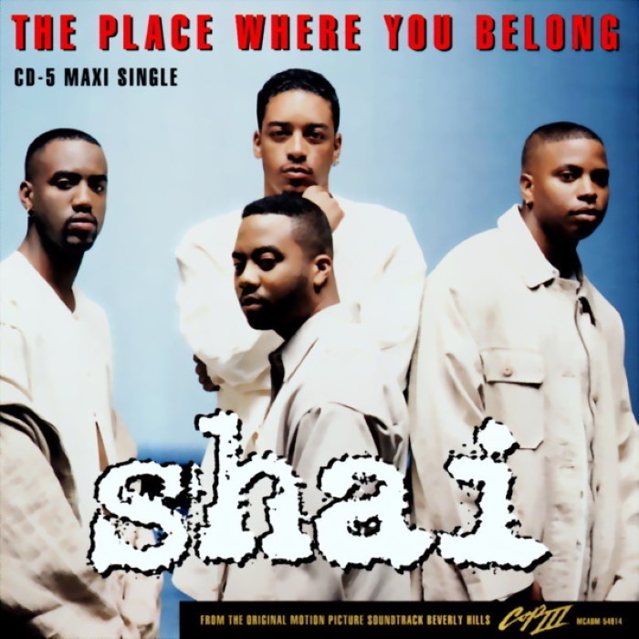 The Place Where You Belong cover