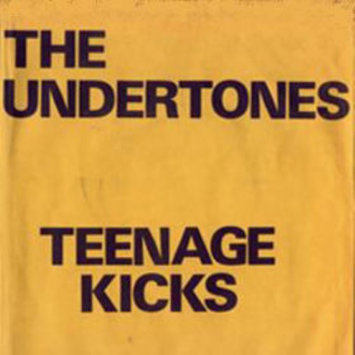Teenage Kicks cover