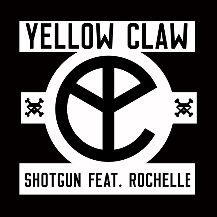 Shotgun cover