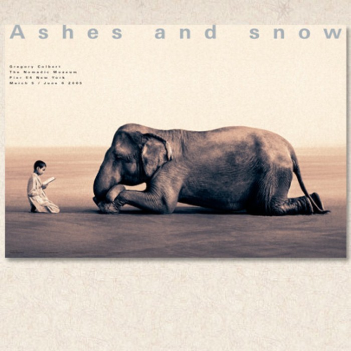 Ashes and Snow cover