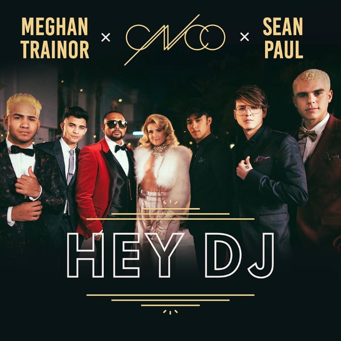 Hey DJ cover