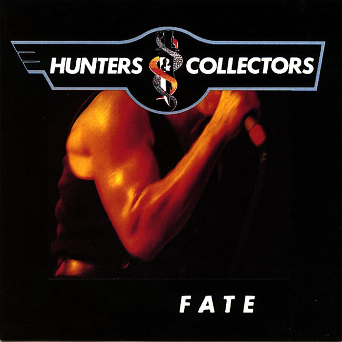 Fate cover