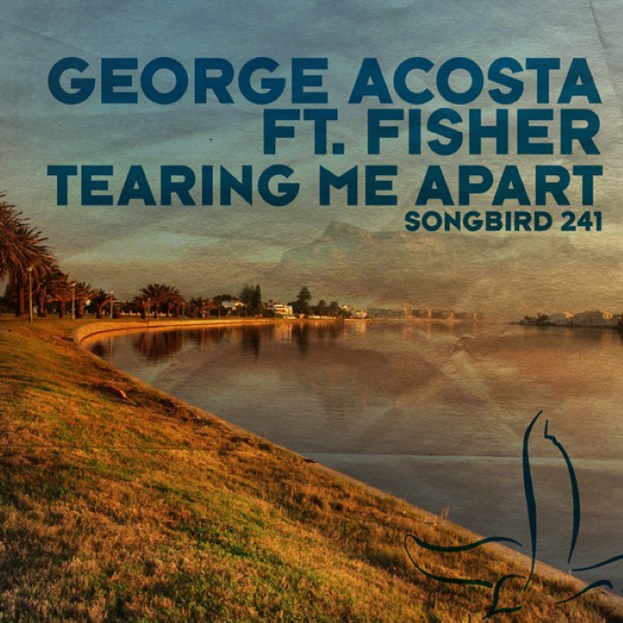 Tearing Me Apart cover