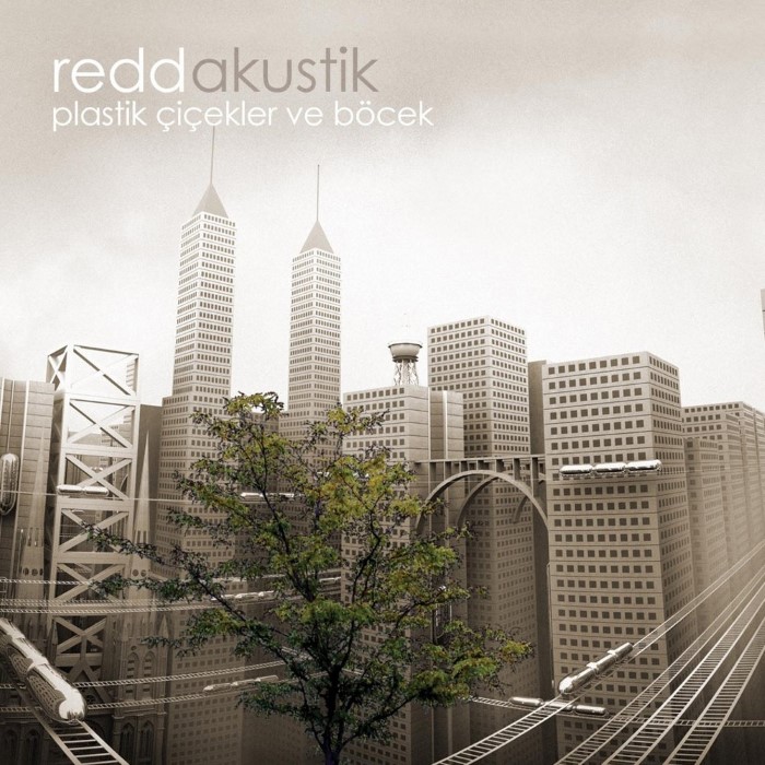 Plastik Çiçekler ve Böcek cover