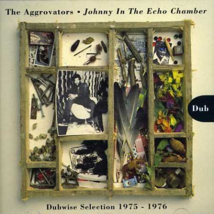 Johnny in the Echo Chamber cover