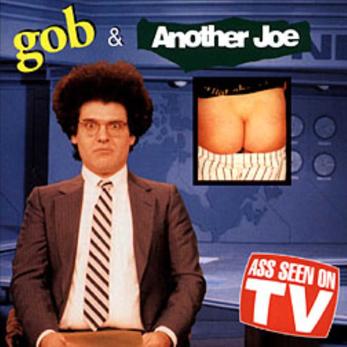 Ass Seen on TV cover