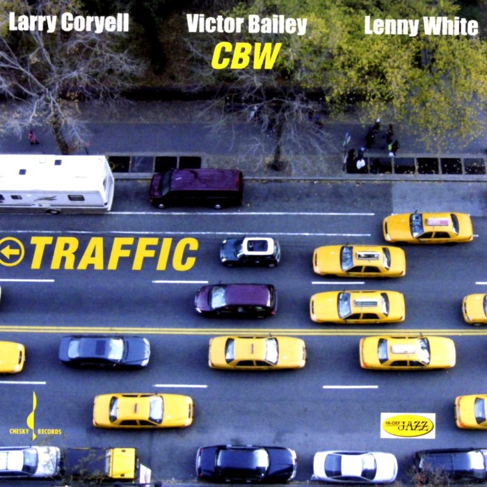 Traffic cover