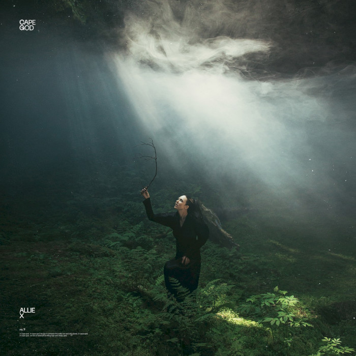 Cover of Cape God