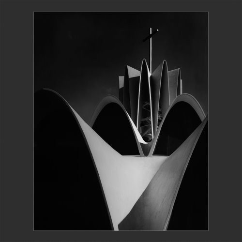 Allegiance and Conviction album thumb