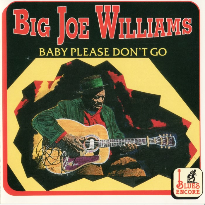Baby Please Don't Go cover