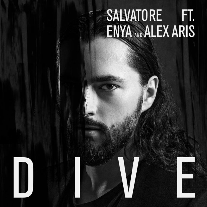 Dive cover