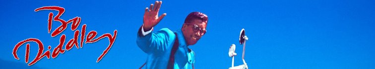 artist banner