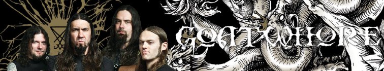 artist banner