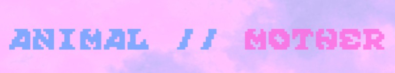artist banner