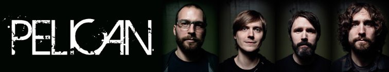 artist banner