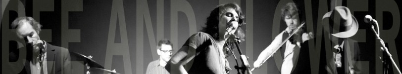 artist banner