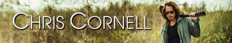 artist banner