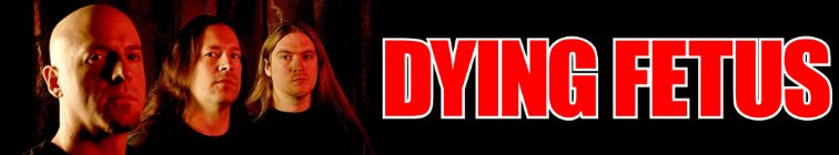 artist banner