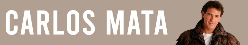artist banner
