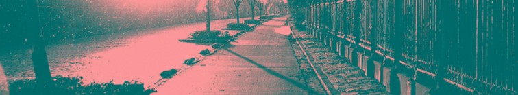 artist banner