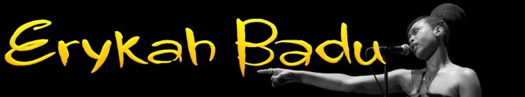 artist banner