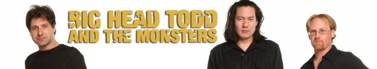 artist banner