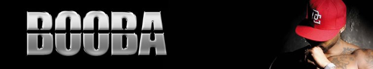 artist banner
