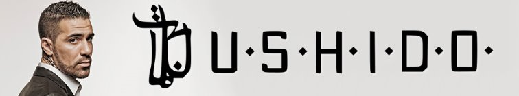 artist banner