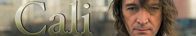 artist banner